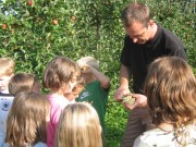 Kinder lernen etwas über Obst.